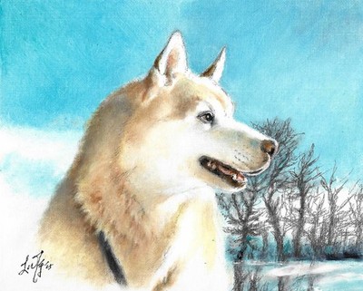   ORIGINAL Oil Dog Portrait Painting SIBERIAN HUSKY Artist Signed Art Winter