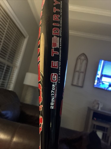 Dirty South bat