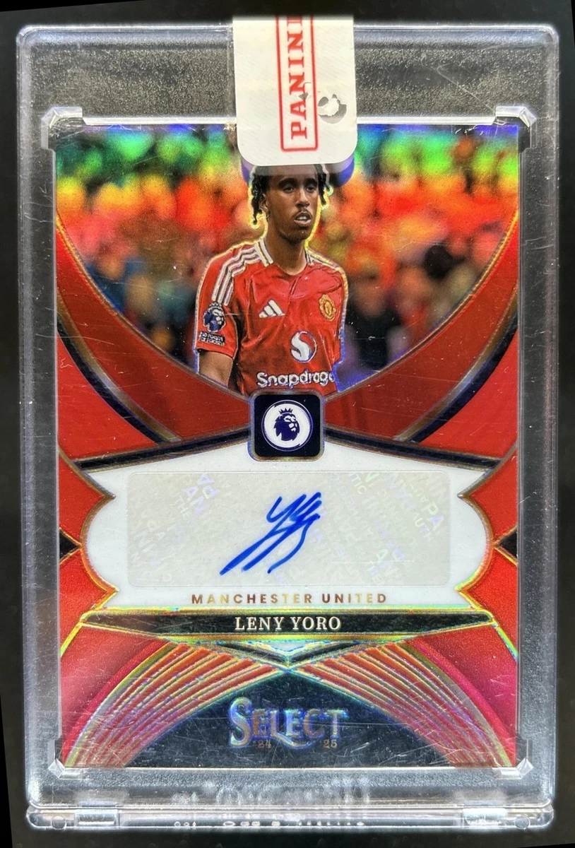 Premier League Panini Soccer Sports Trading Cards for sale | eBay