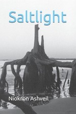 Saltlight by Niokron Ashveil Paperback Book