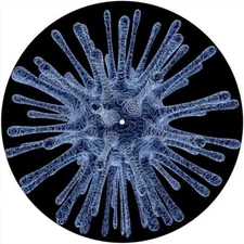 Slipmat Slip Mat for any 12" DJ Turntable Record Player BACTERIA CELL VIRUS New