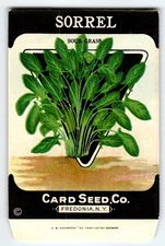 Sour Grass Sorrel 1920's Card Seed Co Packet EMPTY Vintage Fredonia New York NY