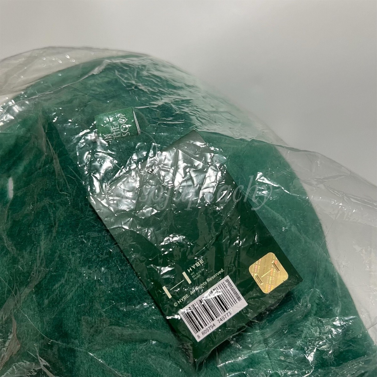 BTS] BTS IN THE SOOP Official Big Cushion Soopy | eBay