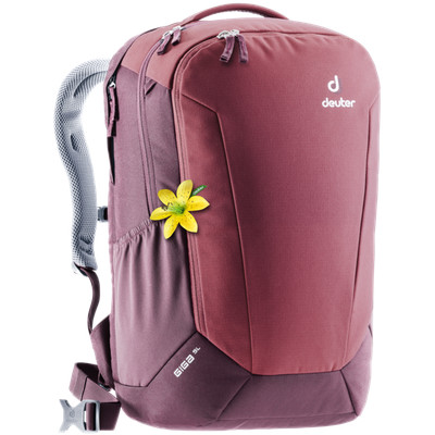 deuter day backpack