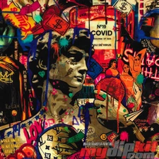 Hydrographics Film Hydro Dipping Water Transfer Print Film DD-908 No. 19