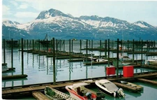 Valdez Boat Harbor on Prince William Sound, Alaska Postcard