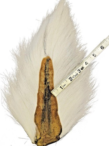 SupplyIt 3 Large Northern Bucktail Natural White Fly Tying Material Deer Hair - Picture 10 of 10