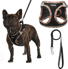 Pechera Arnés de Malla para Mascotas Conjunto de Chaleco y Correa para Perros