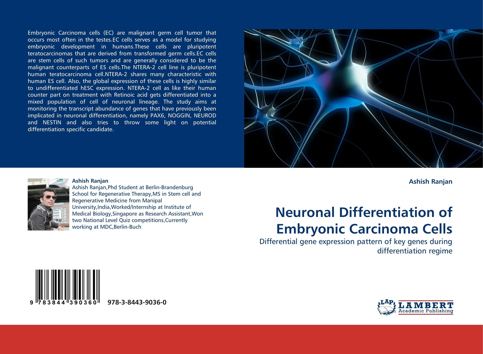 Thumbnail - Neuronal Differentiation Of Embryonic Carcinoma Cells | Ashish Ranjan