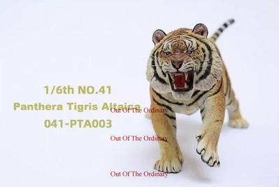 JXK Tiger Panthera tigris altaica 003 1/6th Resin Figurine Limited Animal Models