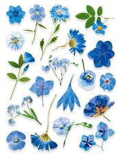VINYL PRESSED FLOWER PHOTO STICKERS 7 7/8"X 5.75" SHEET 1M Blue