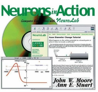 NEURONS IN ACTION: COMPUTER SIMULATIONS WITH NEUROLAB By John W. Moore & A. E.