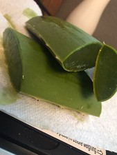 All Natural Organic Leaf's 4 Pound ALOE VERA Fresh Medicinal Uses