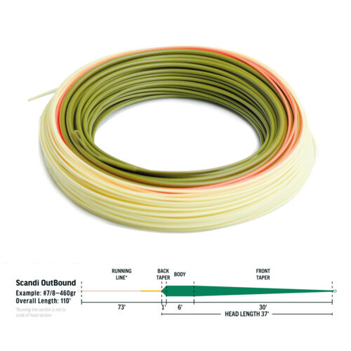 Rio® ESO Elite Scandi Outbound Floating Fly Line * ESO * NUOVE azioni 2023 * ESO - Foto 2 di 3