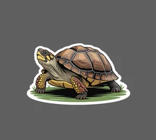Box Turtle Sticker Waterproof Decal Animal Pet Friend Outdoor Wildlife Gift NEW