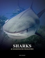 Tom Jackson - Sharks And Underwater Predators - Hardback - G245Z