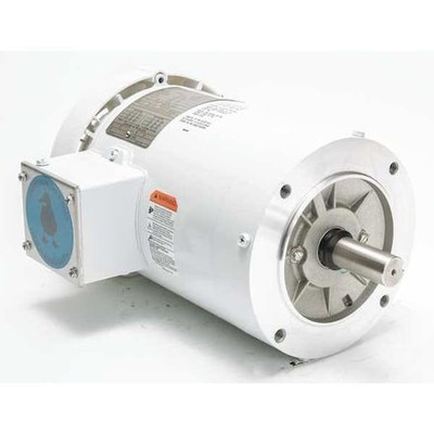 Leeson 122179.00 Washdown Motor,60 Hz,Face Mounting,Cwse