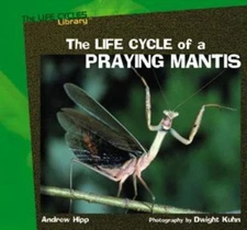 The Life Cycle of a Praying Mantis Library Binding Andrew Hipp