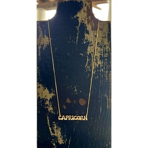 Authentic Anthropologie Zodiac Gold Plated Bubble Astrology Sign Necklace Capricorn