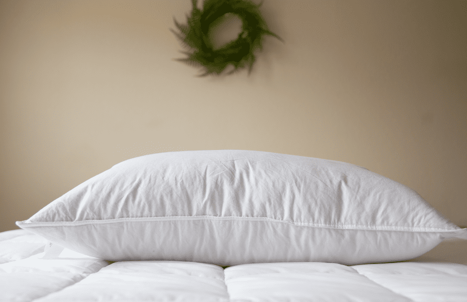 Down Dreams Classic Soft Pillow eBay