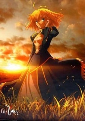 Fate/Zero Saber B2 Tapestry Original Art 51.4x72.8in