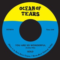 Gold - You Are So Wonderful - Vinyl Record 7 - F659Z