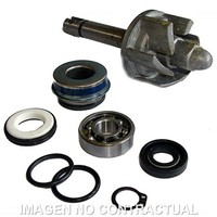 Reparaturset Wasserpumpe Aprilia Leonardo 250 FüR Motorrad Ersatzteile ZubehöR