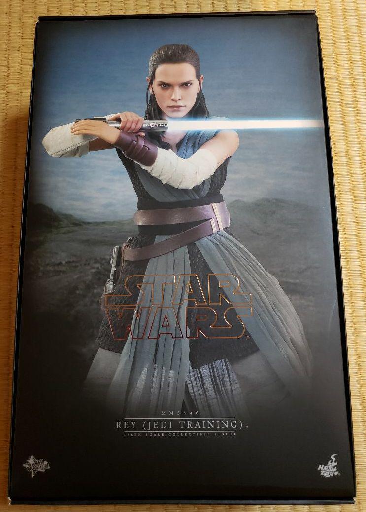 Hot Toys Star Wars Rey (Jedi Training Ver) 1/6 Scale Action