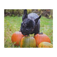 Jigsaw Puzzle 500 Piece, Pet Photo Puzzle