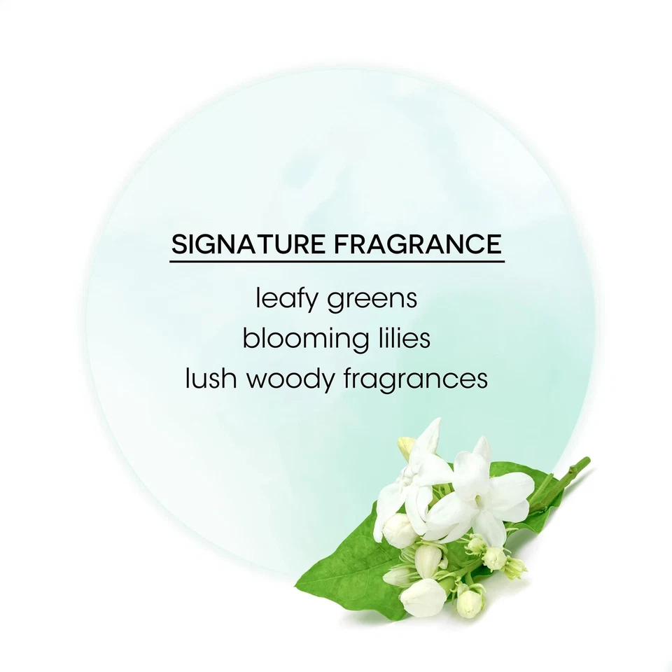 Bain De Terre Rise N 闪耀丰盈泡沫 6.7 盎司(全新包装) — 第 3/3 张图片