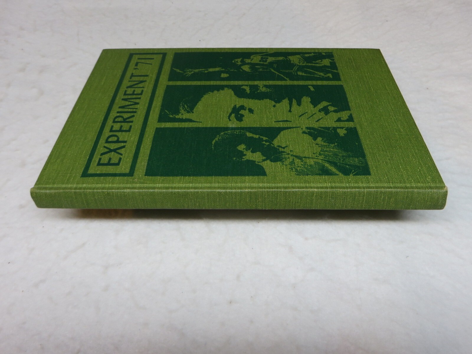 1971 GOODRICH HIGH SCHOOL YEARBOOK GOODRICH MI eBay