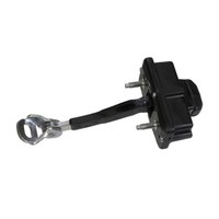 Scharnier TüR Hintere Fiat Punto/Punto Evo 51961552 51818432 51860295