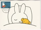 19 Netherlands  maximum card limited edition fdc 2005 Nijntje Miffy Dick Bruna