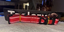 Taglory Dog Collar Red Sz. M. 14"-20"