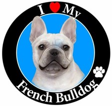 I love my French Bulldog Magnet For vehicles,frig,locker,file cabinet 