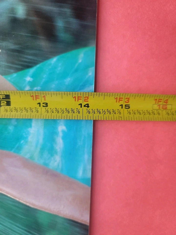 Libro de colección de fotos Manami Toyota y Toshiyo Yamada para mujer lucha libre profesional AJW Foto 4 de 4