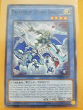PALADIN OF STORM DRAGON / CYBERSE / RITUAL / EFFECT / Yu-Gi-Oh! 2020