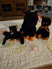 Ty Beanie Fraidy Cat 7 In. MWBT Fraidy Cat 5in Bat-e 5 I Retired MWMT