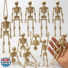 KatchOn, Huge Pack of 12 Halloween Skeletons Figure - 6 inch | Sm