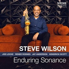 STEVE WILSON - ENDURING SONANCE - Vinyl Record vl - G1398z