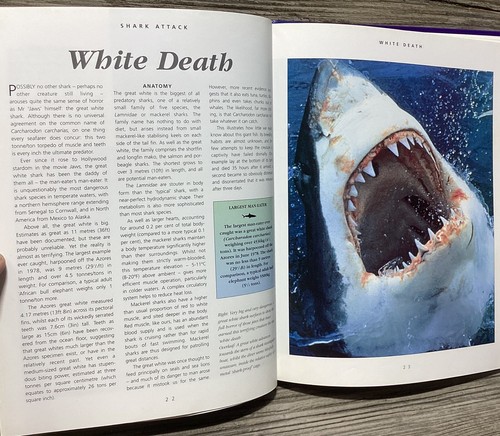 Libro de Ataque de Tiburones de Colección Fotografía Subacuática Grande Tapa Dura Mac McDiarmid - Imagen 12 de 20