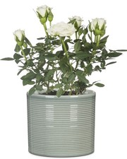 Scheurich Blumentopf 828 Übertopf Versch Farben & Größen Pflanztopf Pflanzgefäß