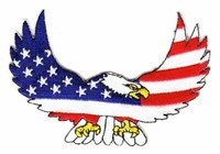 AufnäHer Patch Usa Adler / Eagle 10 X 6 Cm