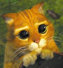 Cute Eyes Diamond Diamond Art Club Sealed