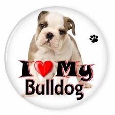  I LOVE MY BULLDOG PUPPY 3" SAFETY PIN BACK BUTTON