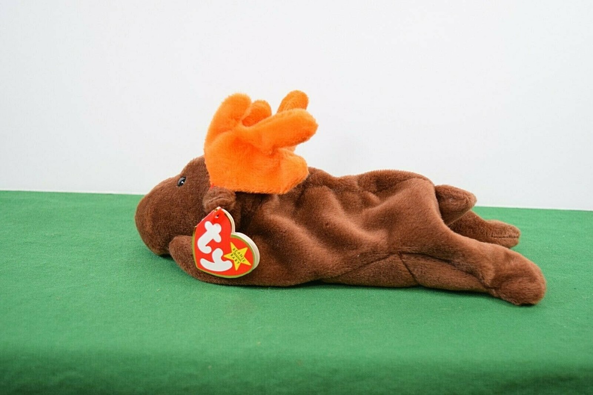 TY Beanie Baby Chocolate the Moose for sale online | eBay