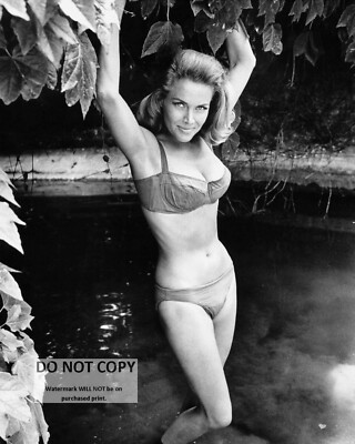 ACTRESS HONOR BLACKMAN PINUP - 8X10 PUBLICITY PHOTO (FB-000)