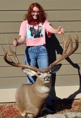 37'' Reproduction Mule Deer Shoulder Mount Taxidermy Montana Decor Mountain #2