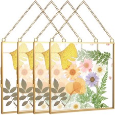 Pressed Flowers Glass Frames 6 x 6 Inch, Hanging Double Glass Picture Frame C...