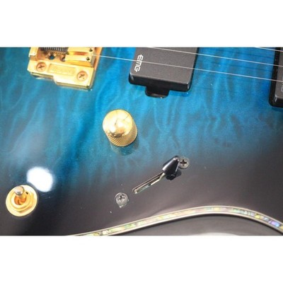 IBANEZ RGIX20FEQM Used Iron Label Series Electric guitar Blue | eBay